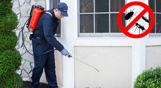 Keşap Haşere İlaçlama böcek ilaçlama ve haşere kontrolü — ilaclama-tr.com